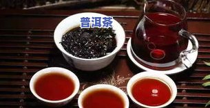 喝茶一般放多少茶叶合适？详细解析与更佳比例