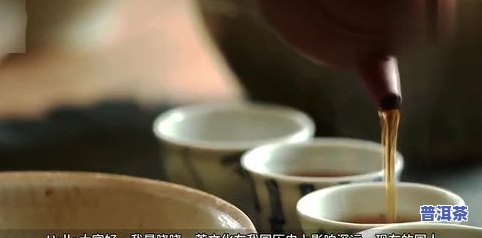 1000一两的茶叶-1000一两的茶叶怎么样