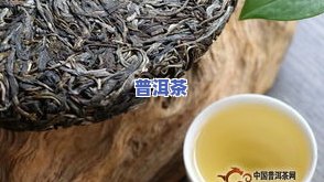 普洱茶哪种好？如何选择适合自己的普洱茶？