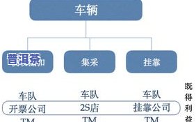 风行茶饮：商业模式、加盟费用及联系方式全解析