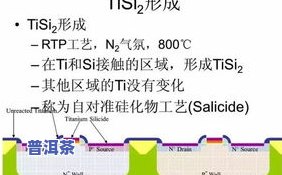 深入解析普洱茶的制造工艺及其详细流程图