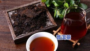 喝普洱茶的益处是什么？探讨其功效与留意事项