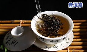 品尝普洱茶-品尝普洱茶的心得