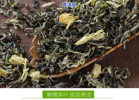 茉莉普洱茶价格多少钱一盒-茉莉普洱茶价格多少钱一盒啊