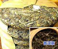 普洱茶贮藏方法种类图片大全：存储、保存与收藏指南