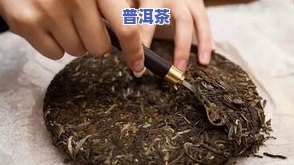 普洱茶贮藏方法大全：图片、视频与价格一网打尽！