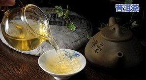 普洱茶收藏鉴赏册有什么用-普洱茶收藏鉴赏册有什么用处