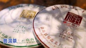 普洱茶批号是什么意思？详解普洱茶的批号、编号规则及查看方法