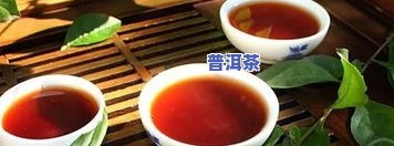 云南五寨和勐海的普洱茶：口感比较与推荐