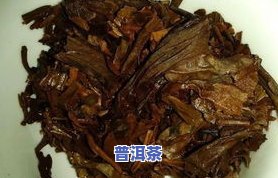 福今大白菜辨真假：系列品鉴与历史来源