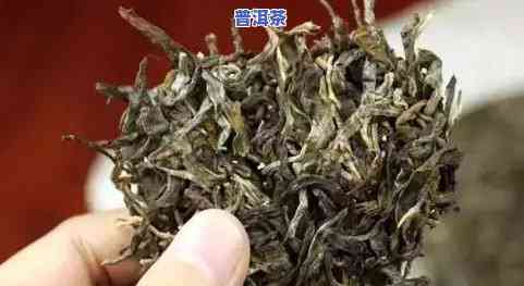 普洱茶饼大容量购买纳盒-普洱茶饼收纳盒排行榜