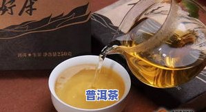 老同志普洱茶良品系列：价格、标杆产品与评价全解析