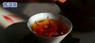 湿热普洱茶-湿热 普洱茶