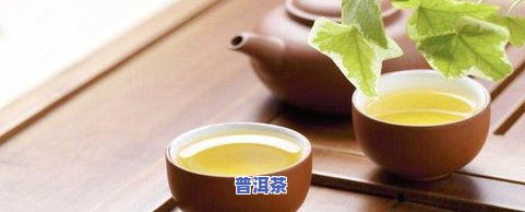 晒青普洱茶保质期多长时间？熟茶还是生茶？