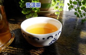 皇弟普洱茶-普洱茶 茶皇