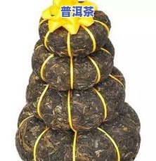 易武正山小金瓜普洱茶-易武正山和正山小种