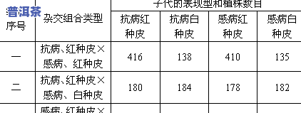 冰岛与大雪山普洱茶价格全面对比图表及区别解析