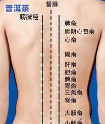 喝普洱茶胸闷心悸：原因、症状与应对方法