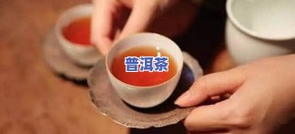 普洱茶预售套路揭秘：茶饮预订、售卖与抢购全解析