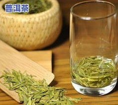 易武有哪些名茶品种？了解当地特色茶叶！