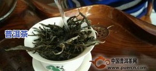 普洱茶有甘草味：正常还是异常？起因解析