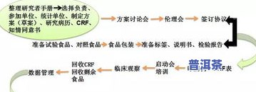 普洱茶主要成分作用：揭示其健康益处与功能特性