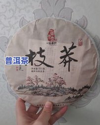 普洱茶的价格与口感关系：多少钱的比较合适？