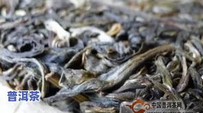 普洱茶十大产区：口感与特点解析