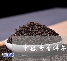 云南普洱紫茶：真的是紫色的吗？探讨其颜色来源与区别