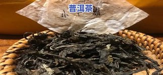 古树普洱茶口感-小户赛古树普洱茶口感