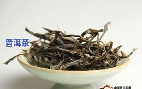 荒野古韵普洱茶：生茶价格、古树茶价目全览