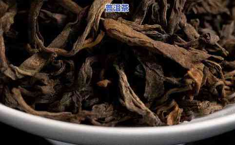 荒野古韵普洱茶：生茶价格、古树茶价目全览