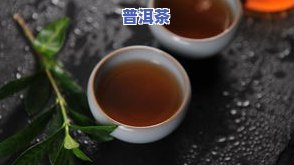 滋味厚重的普洱茶是什么茶-滋味厚重的普洱茶是什么茶叶