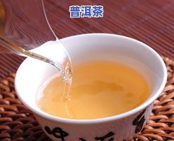 早春牌茶普洱茶价格表图片及价格全览