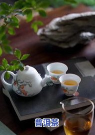 怎样冷泡普洱茶-怎样冷泡普洱茶好喝