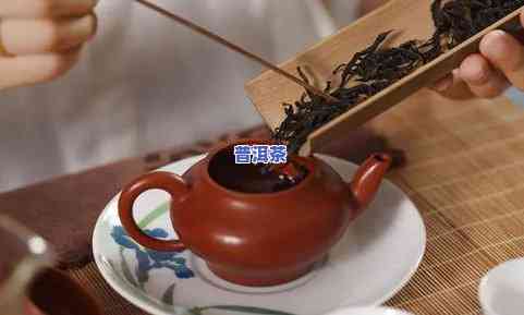 怎样冷泡普洱茶-怎样冷泡普洱茶好喝