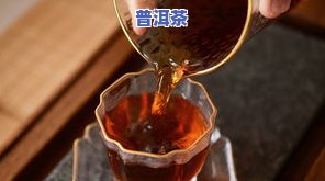 普洱茶之友-普洱茶友交易