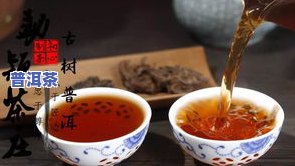 普洱茶知识普及：全面了解普洱茶的历史、种类、冲泡方法及健康功效