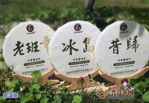 石雨益昌号：是学费茶还是优质选择？熟悉其普洱茶品质与产品系列，包含  珍藏版和旗舰店信息。