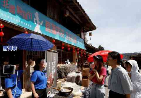 德庆茶叶：品种、图片、基地与非遗师傅全揭秘