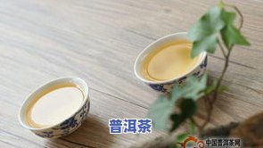 顺德普洱茶：探索云南顺得普洱茶与德顺茶业的优质产品及其特别茶文化