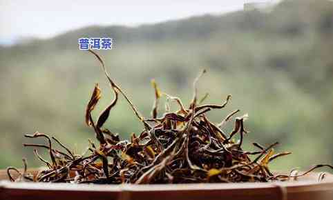 庆云普洱茶-云南庆阳普洱茶