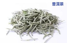 白毫银针与普洱茶：怎样区分？全解！