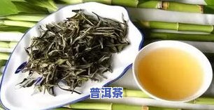 白毫银针普洱生茶：特点、口感及与普通茶的区别