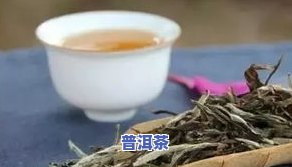 白毫银针普洱生茶：特点、口感及与普通茶的区别