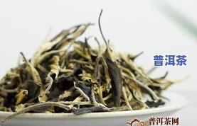 白毫银针和普洱茶区别在哪-白毫银针和普洱茶区别在哪里