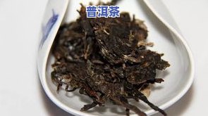 曼迈普洱茶价格多少？一斤售价是多少？请看最新报价！