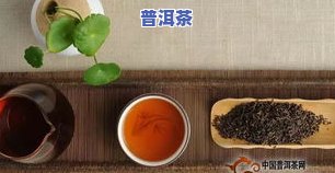 普洱茶饼在家更佳保存方法与技巧