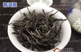 普洱茶材料等级详解：如何区分不同等级的普洱茶原材料？