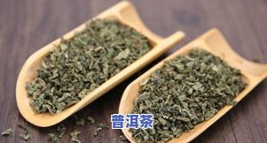 茶叶出虫了还能喝吗？查看真实图片及处理方法